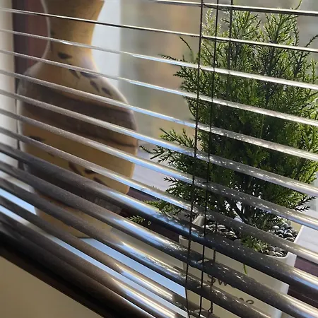 Rada, Bay View Apartament *