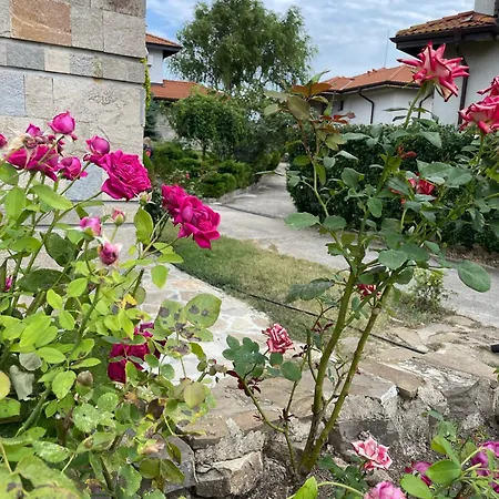 Rada, Bay View Kosharitsa